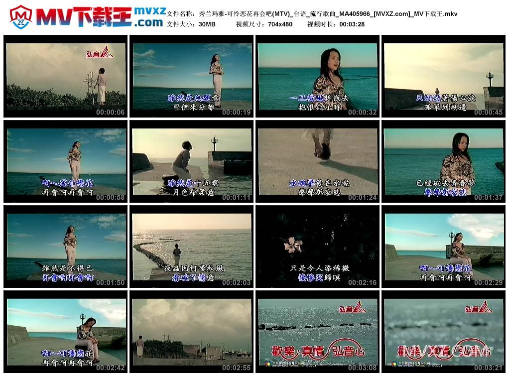 秀兰玛雅-可怜恋花再会吧(MTV)_台语_流行歌曲_MA405966